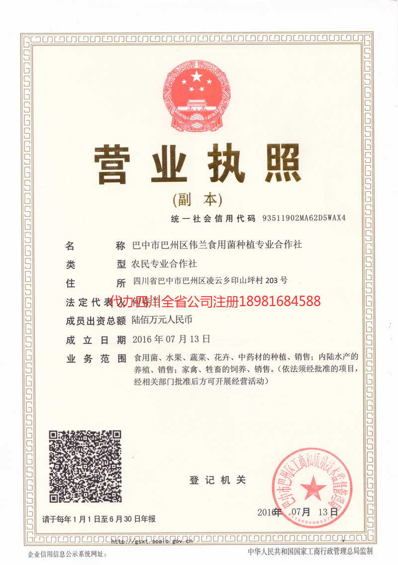 罗定罗定伟兰食用菌种植专业合作社